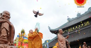 Văn khấn phóng sinh – Bài văn cần phải đọc khi phóng sanh